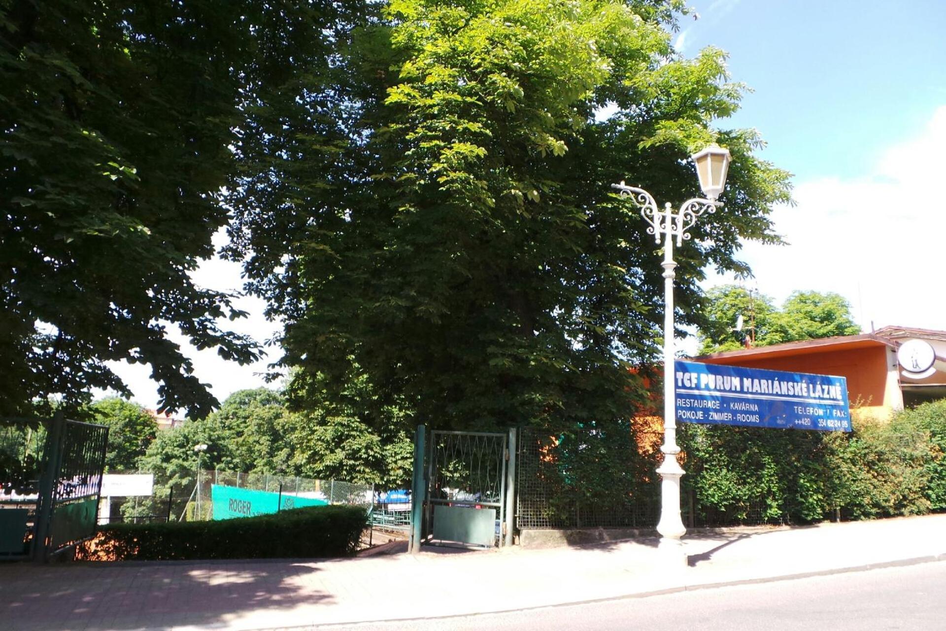 Villa Shafaly Mariánské Lázně Exterior foto